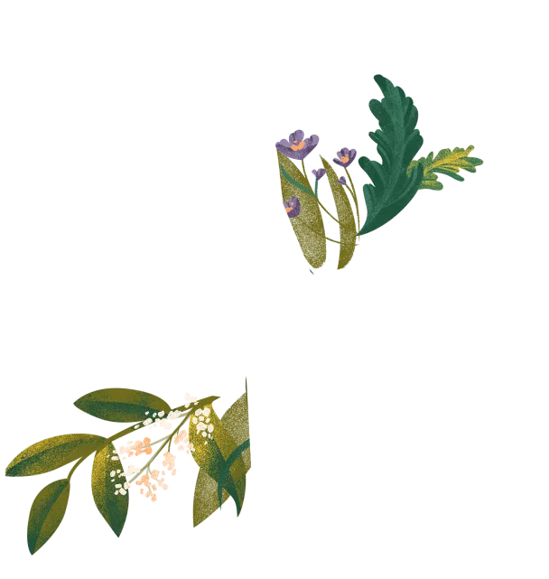 Background Flowers